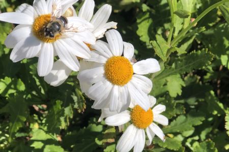 On Sunday be one of us